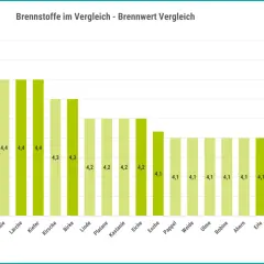 Balkendiagramm zeigt Brennwerte verschiedener Holzarten. Douglasie-Brennholz hat einen Wert von 4,4 kWh/kg.