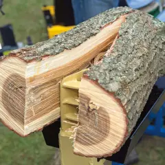 Holzspalter im Test: Ein Holzstamm wird geteilt. Der Woodmax-Spalter zeigt seine Kraft.