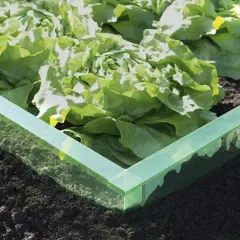 Grüner Rand schützt Salat vor Schnecken. Eine Idee für eine schneckendusche garten selber bauen.