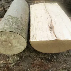 Zwei Holzstämme liegen nebeneinander. Einer ist rund, der andere ist gespalten. Ist Pappel gutes Brennholz?