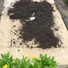 Pappe im Garten wird als Mulch verwendet, um Unkraut zu unterdrücken. Sie ist nicht giftig und zersetzt sich im Boden.