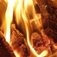 Glühende Flammen tanzen um das Teakholz, das langsam verbrennt und eine warme, gemütliche Atmosphäre schafft.