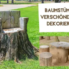 Ein Baumstumpf wird zum Thron, daneben ein Tisch mit Hockern aus Holzscheiten. So kann man aus einem Baumstamm tolle Möbel machen!