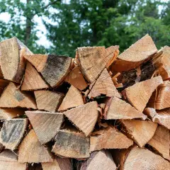 Stapel gespaltenes Holz, bereit für den Winter. Der hohe Brennwert von Walnussholz macht es zu einer beliebten Wahl für Kamine.