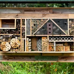 Ein **wildbienenhotel selber bauen** ist eine tolle Idee! Dieses Hotel bietet Nistplätze aus Holz, Röhren und Zapfen für Insekten.