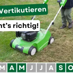 Rasen vertikutieren wann? Ein grüner Vertikutierer im Einsatz auf einem Rasen, der Pflege benötigt. Die Monate zeigen, wann die beste Zeit dafür ist.