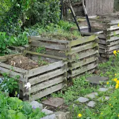 Mehrere Holzkomposter im Garten, bereit, um kompost herstellen. Umgeben von üppigem Grün und gelben Blüten.