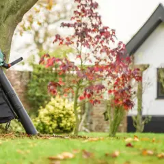 Laubbläser mit Fangbeutel lehnt am Baum, bereit, das Herbstlaub zu zerkleinern. Im Hintergrund ein Haus und Garten.