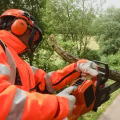 Mann in Warnschutzkleidung mit Kettensäge schneidet Ast. Baum 1 und 2 unterschied: ein Ast wird geschnitten, der andere steht noch.