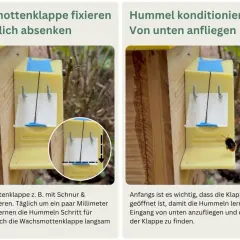 Beim Hummelnistkasten bauen: Klappe fixieren und absenken, damit Hummeln den Eingang finden.