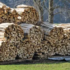 Stapel von gespaltenem Holz, bereit für den Winter. Dieses sehr alte Holz brennt schlecht, aber es ist ein schöner Anblick.