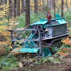 Grüne Forstmaschine mit Rückezange im Herbstwald, bereit für die Arbeit.