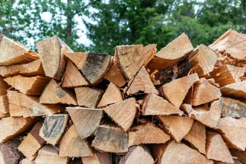 Stapel von gespaltenem Holz, bereit für den Winter. Der hohe Brennwert von Ulmenholz macht es zu einer beliebten Wahl für Kaminholz.