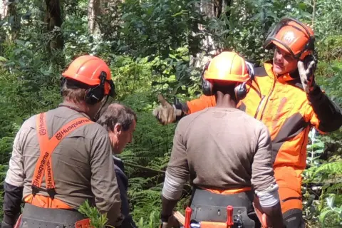 Waldarbeiter mit orangefarbenem **Forsthelm** und Gehörschutz besprechen die nächste Aktion im Wald.