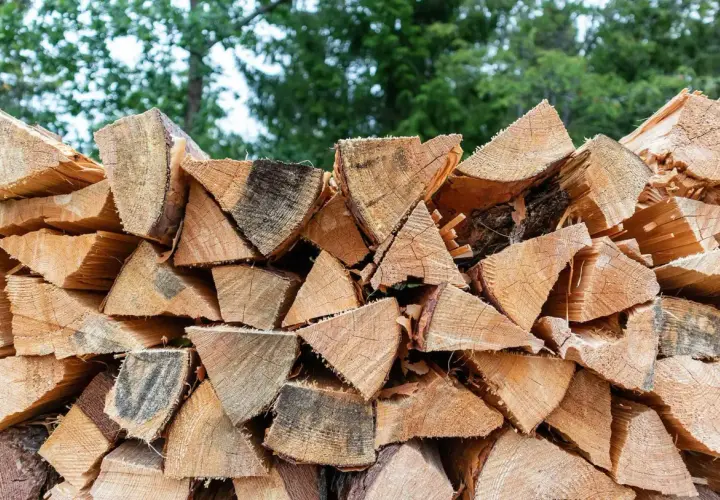 Stapel von gespaltenem Holz, bereit für den Winter. Der hohe Brennwert von Ulmenholz macht es zu einer beliebten Wahl für Kaminholz.