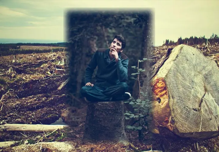 Ein Mann sitzt nachdenklich auf einem Baumstumpf, umgeben von einer Landschaft, in der morsch es Holz brennt.