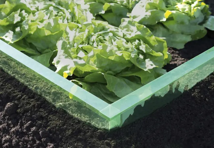 Grüner Rand schützt Salat vor Schnecken. Eine Idee für eine schneckendusche garten selber bauen.