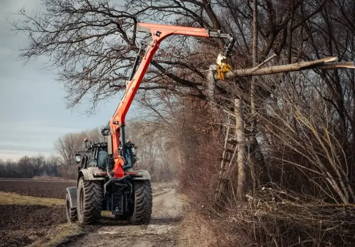 Ein Ladekran-Traktor mit orangefarbenem Ausleger schneidet einen Baumstamm in einem Wald.