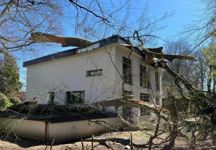 Ein großer Baum ist auf ein Haus gefallen. Die Äste liegen auf dem Dach und der Fassade. Es sieht so aus, als ob man den Baum gerade ziehen müsste, um das Haus zu retten.