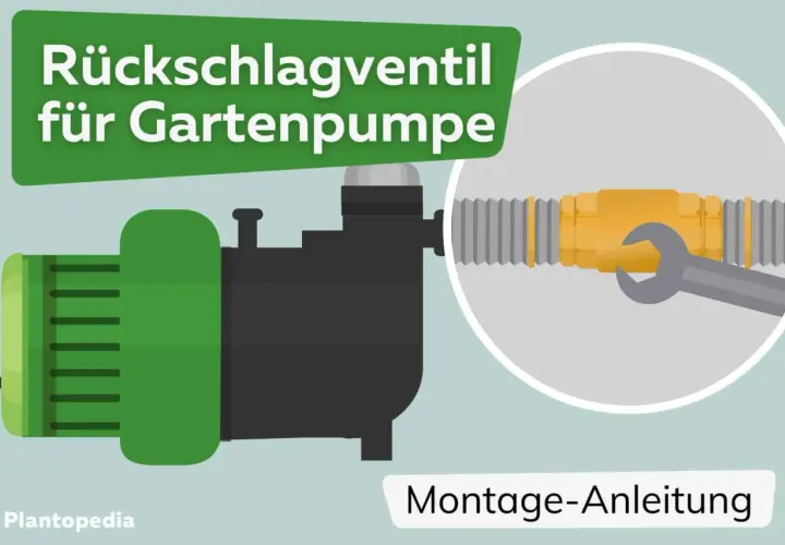 Illustration zeigt eine Gartenpumpe und eine Montageanleitung für ein Rückschlagventil.