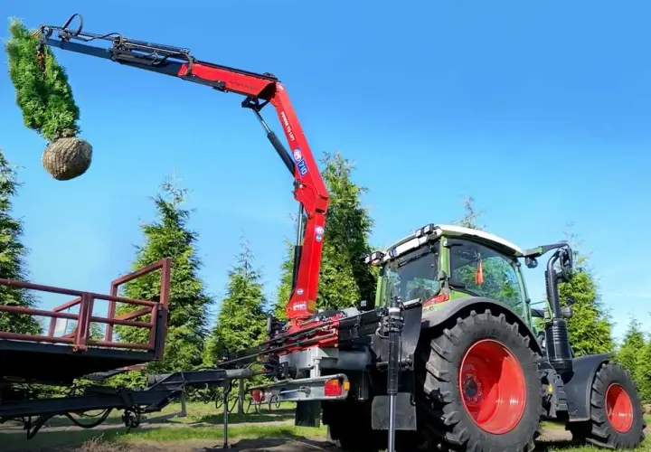 Ein roter Ladekran, gebraucht für Traktor, hebt einen Baum mit Wurzelballen. Der Traktor steht daneben, bereit für den Transport.