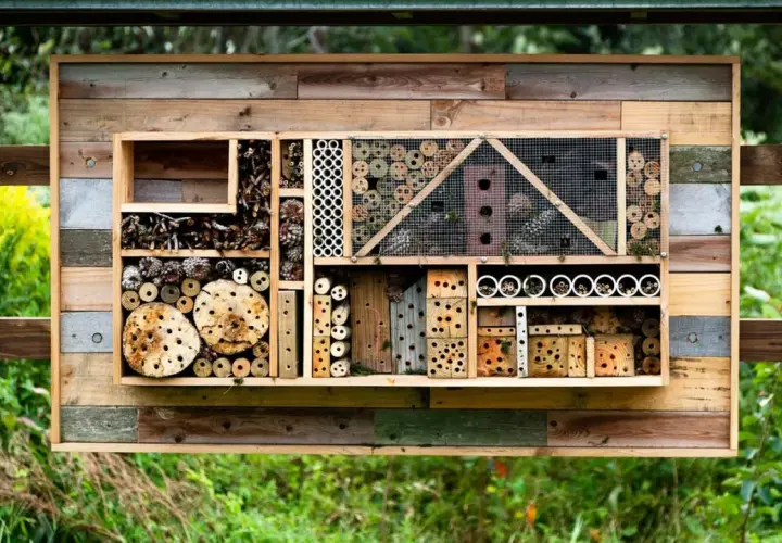 Ein **wildbienenhotel selber bauen** ist eine tolle Idee! Dieses Hotel bietet Nistplätze aus Holz, Röhren und Zapfen für Insekten.
