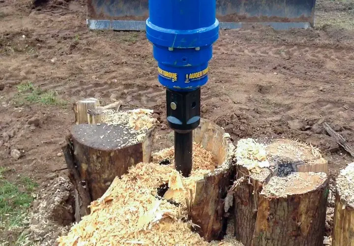 Ein blauer Bohrer entfernt einen Baumstumpf, indem er ihn zerkleinert. Holzspäne fliegen überall herum.