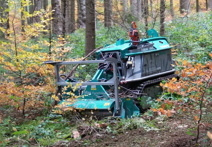 Grüne Forstmaschine mit Rückezange im Herbstwald, bereit für die Arbeit.