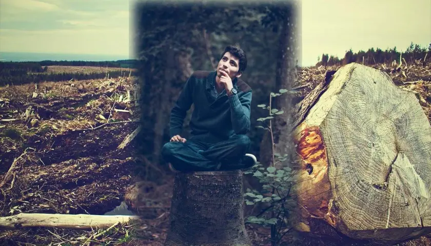 Ein Mann sitzt nachdenklich auf einem Baumstumpf, umgeben von einer Landschaft, in der morsch es Holz brennt.