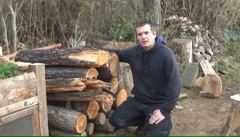 Mann steht neben einem Stapel Holzscheite. Er erklärt, dass Kiefer gutes Brennholz ist.