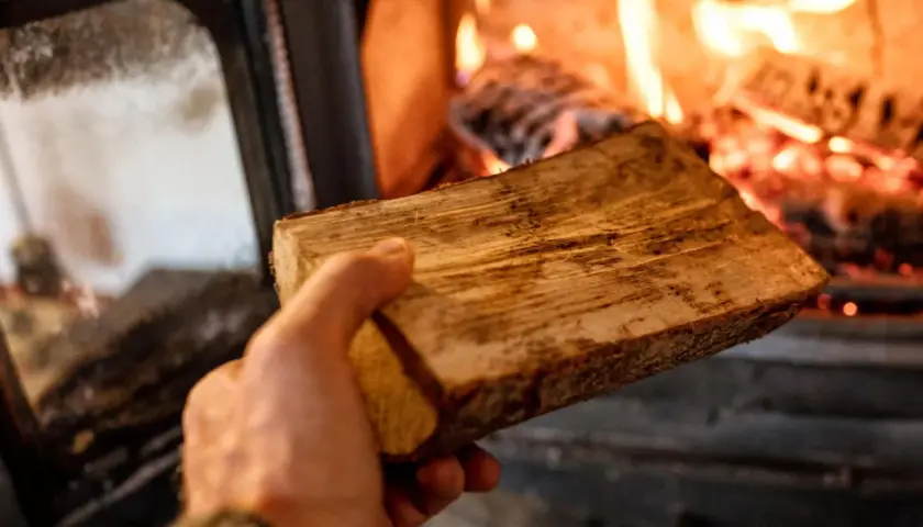 Hand hält Holzscheit für den Ofen. Bald wird brennholz verboten, die letzte Wärme.