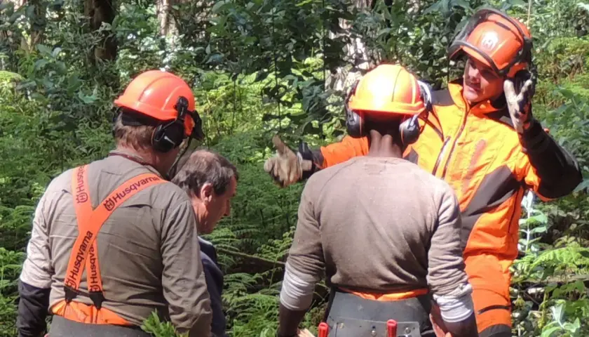 Waldarbeiter mit orangefarbenem **Forsthelm** und Gehörschutz besprechen die nächste Aktion im Wald.