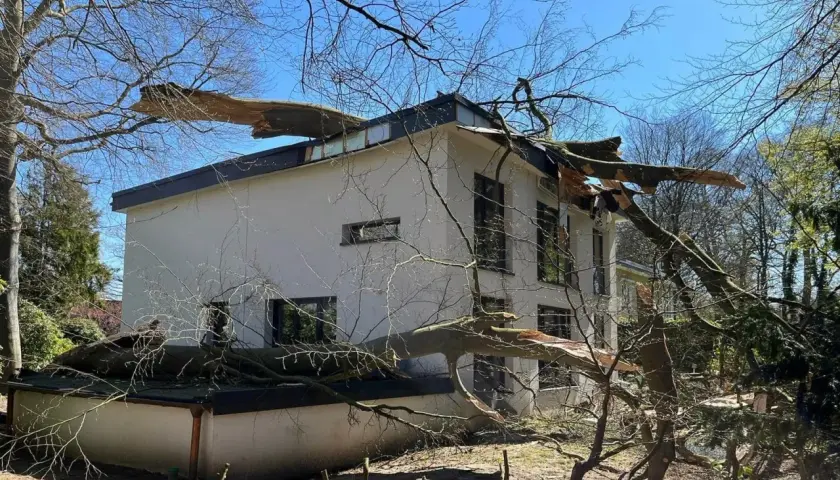 Ein großer Baum ist auf ein Haus gefallen. Die Äste liegen auf dem Dach und der Fassade. Es sieht so aus, als ob man den Baum gerade ziehen müsste, um das Haus zu retten.