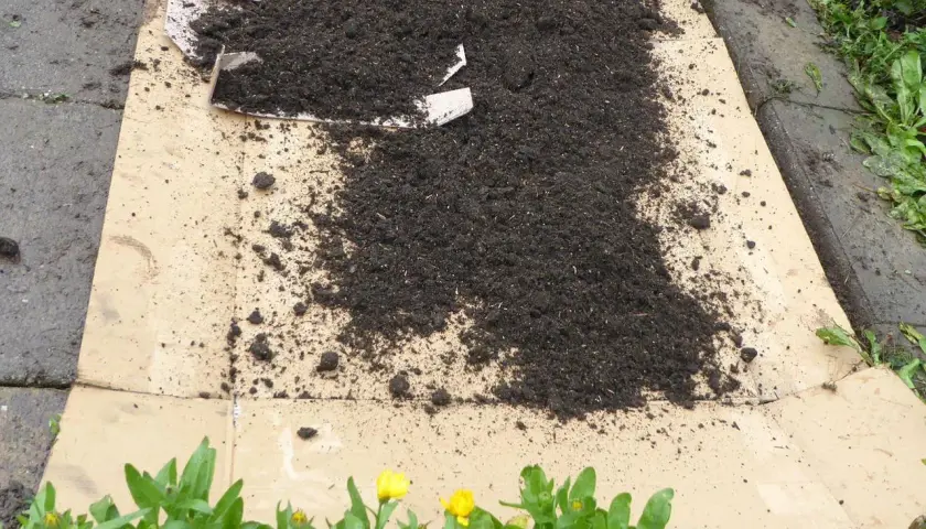 Pappe im Garten wird als Mulch verwendet, um Unkraut zu unterdrücken. Sie ist nicht giftig und zersetzt sich im Boden.