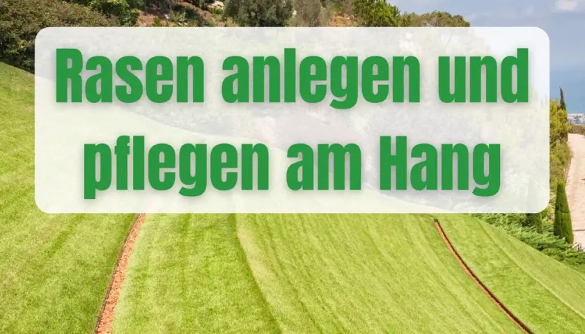 Grüner Rasen am Hang, mit Text "Rasen anlegen und pflegen am Hang".