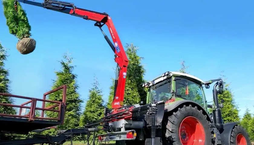 Ein roter Ladekran, gebraucht für Traktor, hebt einen Baum mit Wurzelballen. Der Traktor steht daneben, bereit für den Transport.