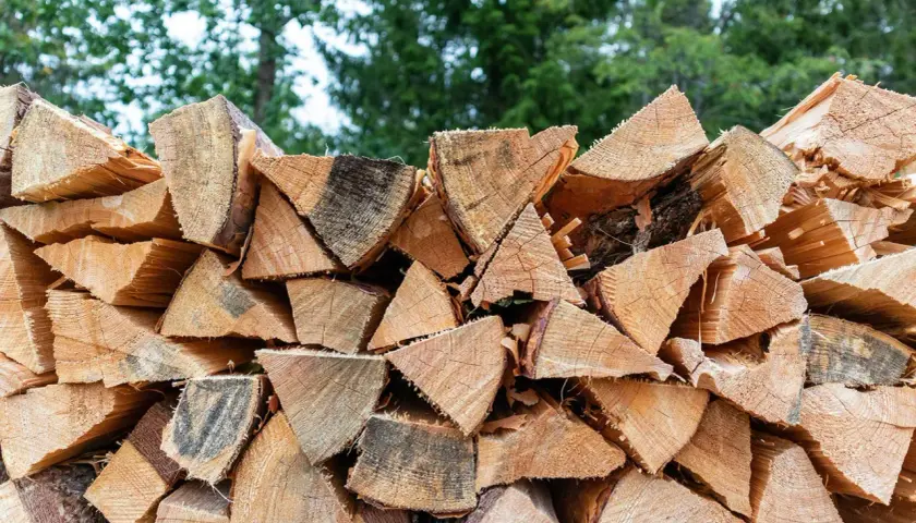 Stapel gespaltenes Holz, bereit für den Winter. Der hohe Brennwert von Walnussholz macht es zu einer beliebten Wahl für Kamine.
