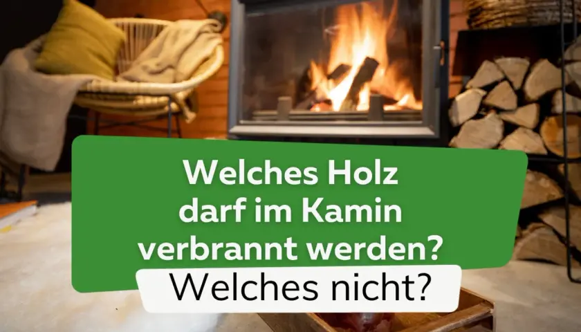 Gemütliches Kaminfeuer mit brennendem Holz. Eibenholz verbrennen ist nicht ratsam. Welches Holz darf im Kamin verbrannt werden?