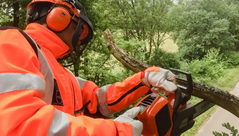 Mann in Warnschutzkleidung mit Kettensäge schneidet Ast. Baum 1 und 2 unterschied: ein Ast wird geschnitten, der andere steht noch.