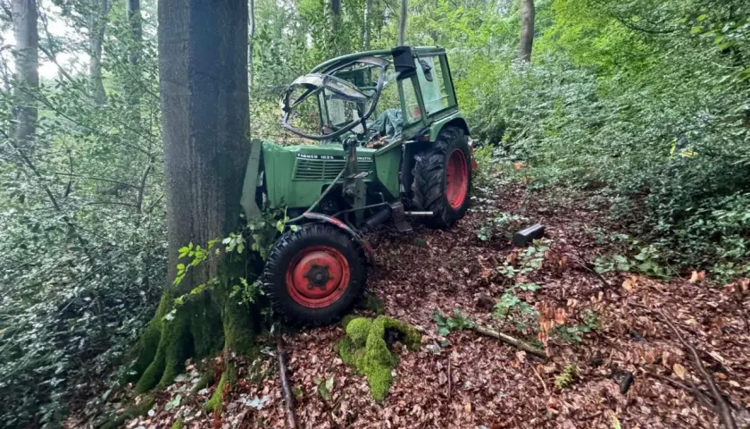 Ein grüner Traktor, der wie eine Bandsäge aussieht, steht im Wald.