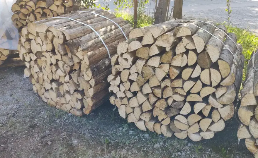 Kastanienholz als Brennholz - Lohnt es sich?