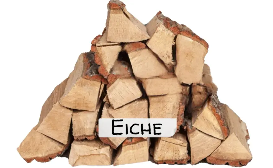Wie schwer ist Eichenholz? Dichte und Gewicht berechnen