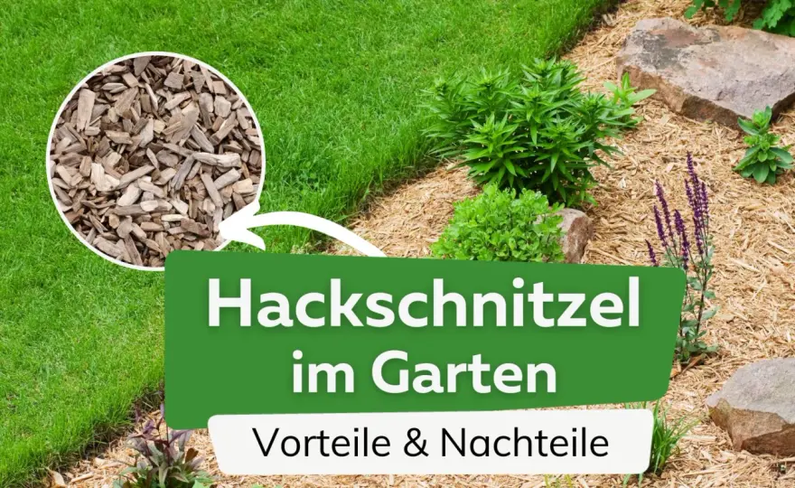 Holzhackschnitzel im Garten - So nutzt du sie richtig!