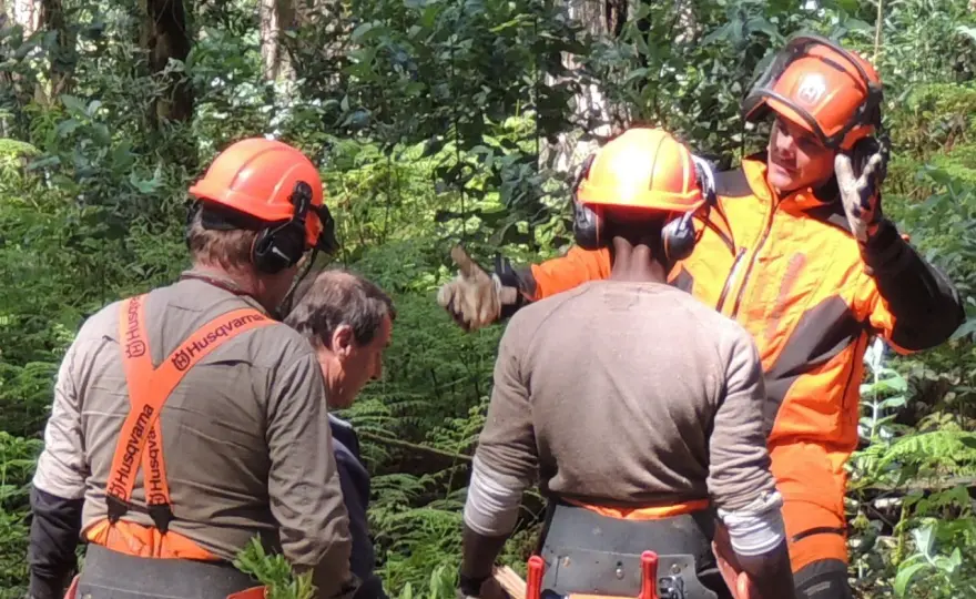 Forsthelm richtig auswählen und sicher im Wald arbeiten
