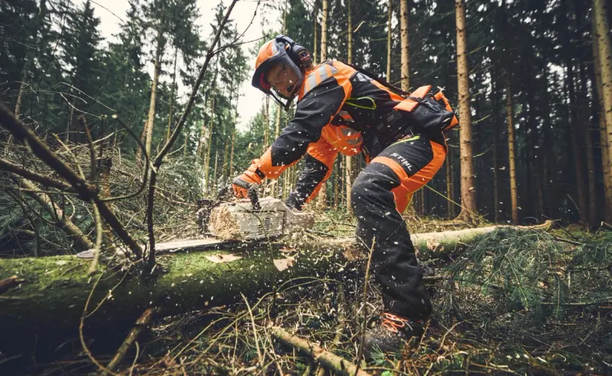 PSA Forst bei Motorsägenarbeiten richtig auswählen
