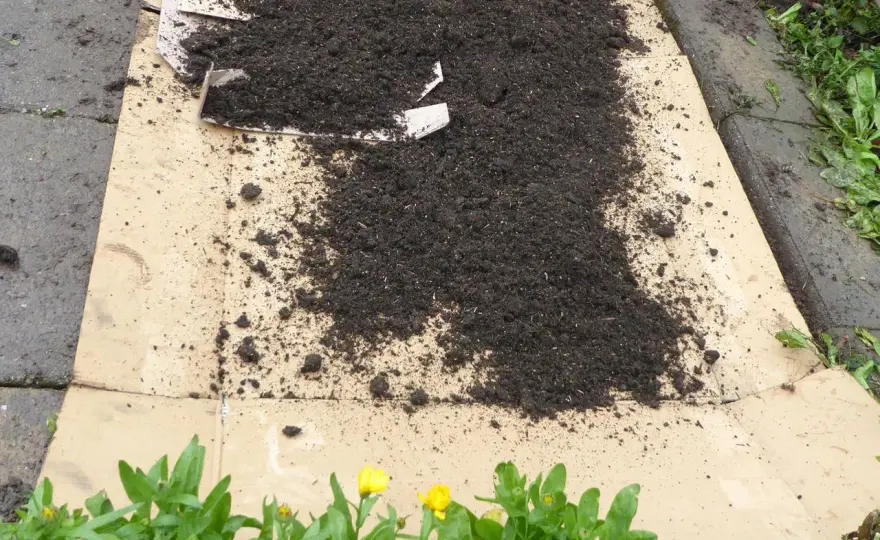 Pappe im Garten - Giftig oder nützlich? Der Praxis-Check
