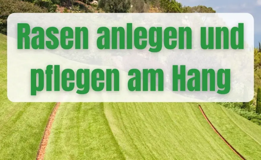 Rasen am Hang - Sicher anlegen, pflegen & mähen