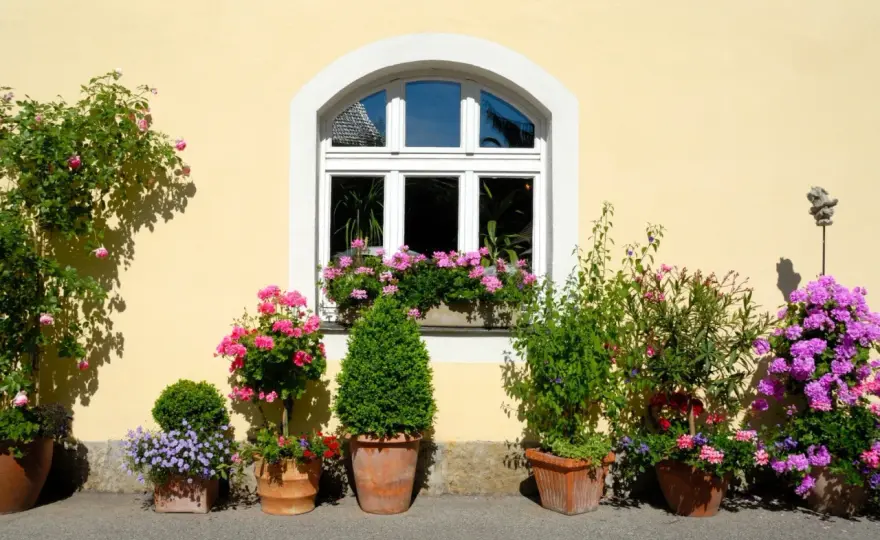 Blumen im Topf pflanzen - So gelingt die Kübelbepflanzung!