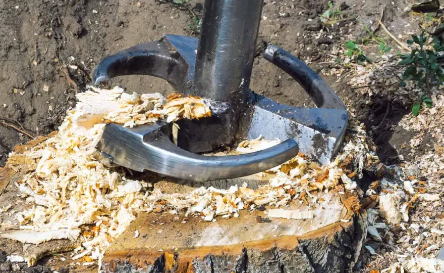 Stubbenfräse - So entfernst du Baumstümpfe richtig