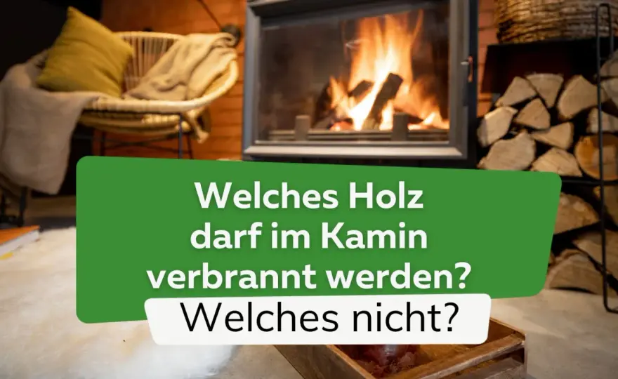 Eibenholz verbrennen? Was im Ofen erlaubt ist